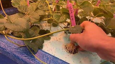 Propagation Bench: Operational Tour