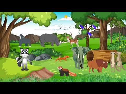"The Wonders of the Animal Kingdom: A Fascinating Journey into the Wild  DoodleDreams Animated