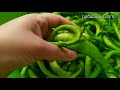 MENEMEN 🍅 EV HALKININ EN SEVDİĞİ LEZZET 🌶️