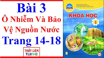 Khoa Học Lớp 4 Bài 3 | Ô Nhiễm Và Bảo Vệ Nguồn Nước | Trang 14 – 18 | Chân Trời Sáng Tạo