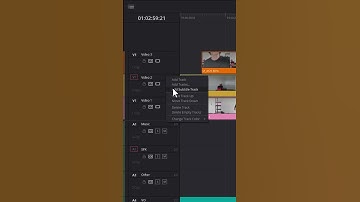 Move Tracks Up & Down in DaVinci Resolve