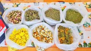 Buram Buram Memleket Kokusu / Mucize Otlar