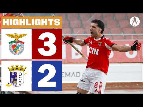 Benfica vs Barcelos (3-2) | HIGHLIGHTS CN PLACARD