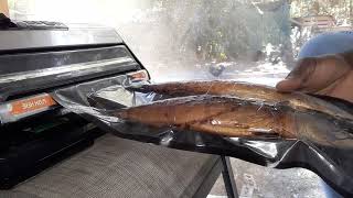 Packaging our Smoked Mackerel to ship