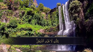 سورة مريم.  هلويست نصرالدين