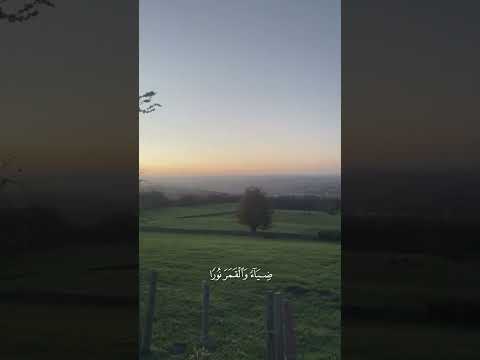 Qari Abdullah Tariq | Short Emotional Qur’an Recitation