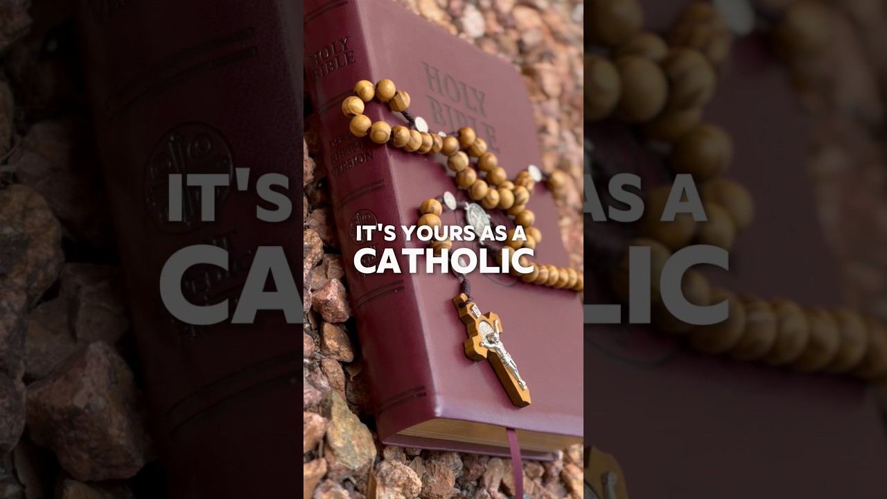 “Read the Bible…” #Bible #Christian #Truth #Rosary #Catholic #Jesus