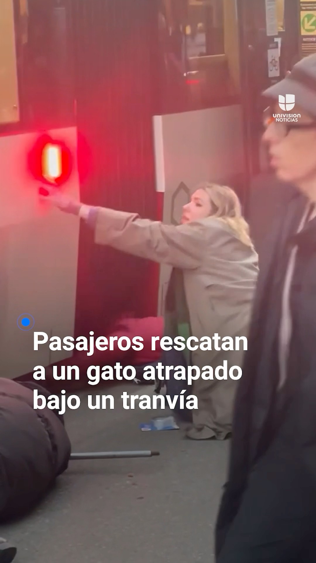 Pasajeros rescatan a un gato atrapado bajo un tranvía