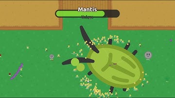 UNIQUE MOBS IN FLORR.IO?