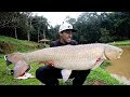 ULTRALIGHT - DICAS Pesqueiro Taipas de Pedra Projeto Amental Fishing Lago para pesca de Ultralight