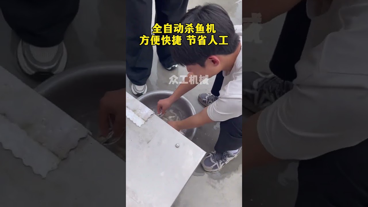 Automatic Fish killing machine