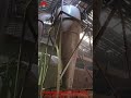 GHG Series High-Capacity Rotary Drum Dryer, 0.9-1.5 Ton/Hour Processing, 2.5-3 Ton/Hour Evaporation