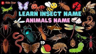 BELAJAR NAMA HEWAN SERANGGA BAHASA INDONESIA - INGGRIS | NAMES OF INSECT LEARN ANIMALS NAMA BINATANG