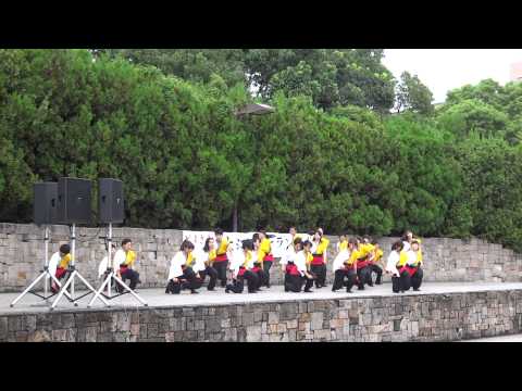 ザ・よさこい！大江戸ソーラン祭り（2014）（13）