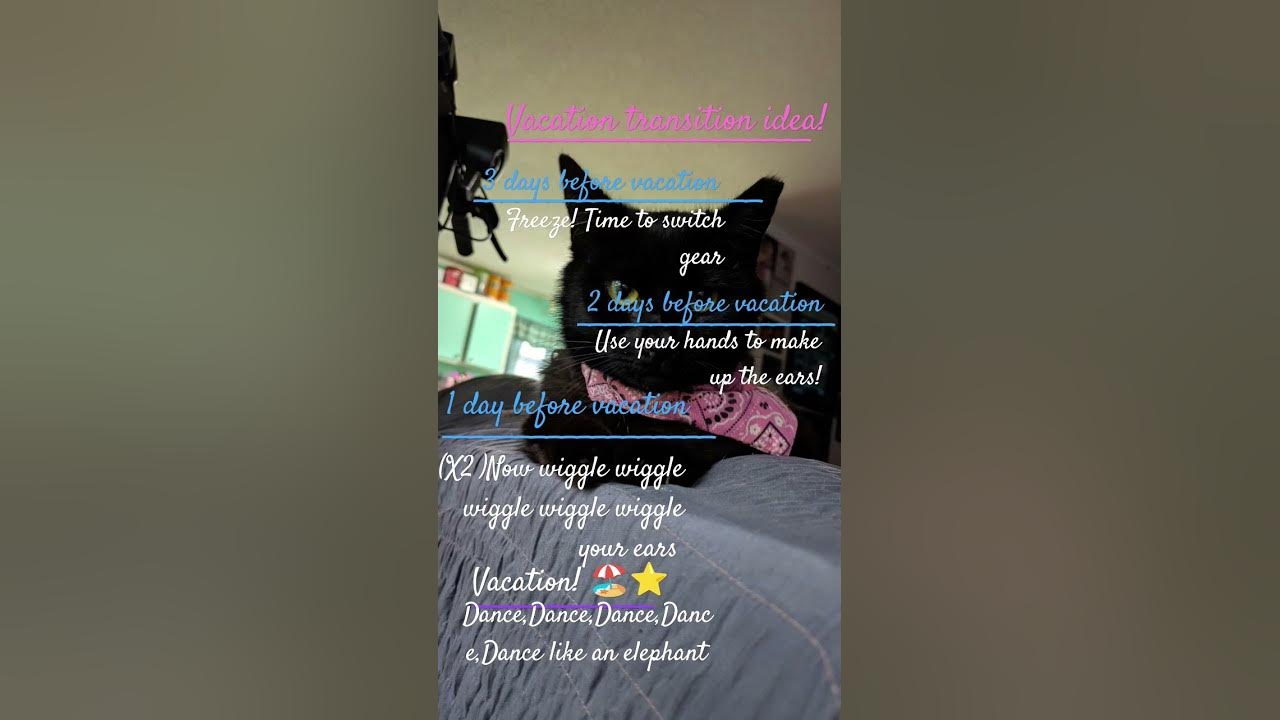 Before vacation transition ideas! #cat #dance #pink #songs #hi #music #spongebob #freeze #coloring