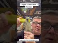 Stoger STR9 Level 2 Holster
