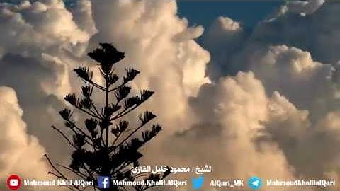 سورة الإنفطار تلاوة حجازية تحبيرية بديعة | الشيخ محمود خليل القارئ