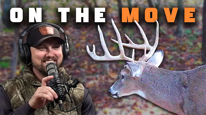 Pre-Rut Whitetail Strategy for Targeting Mature Bucks | Hunt Companion