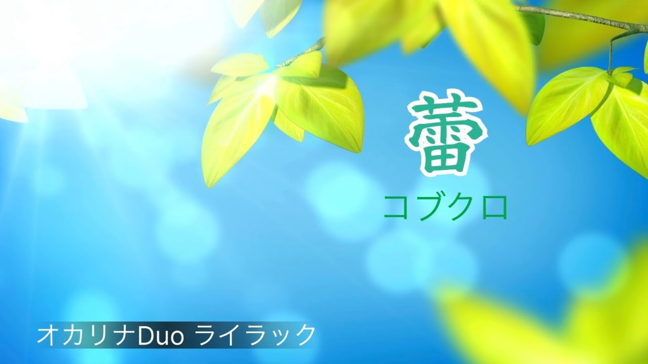 蕾　コブクロ　オカリナ二重奏