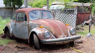 MUSTIE1 & I | Forgotten Vw Beetle Rescue & Vw Bus Found .