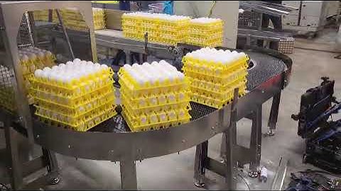 Egg tray depalletizing in Norway with Meggson