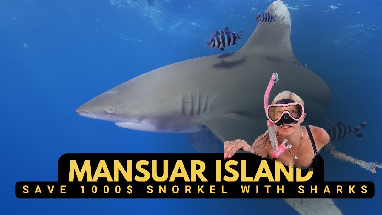 Raja Ampat on a Budget! 🌴 How I Saved €1000 & Snorkeled with Sharks 🦈