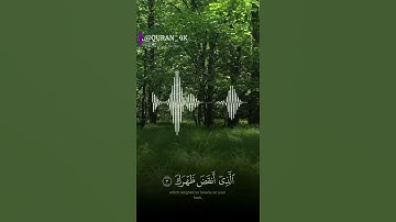 الشيخ صالح آل طالب | سورة الشرح  تلاوة خاشعة جدا| حالات قرآن كريم | اجمل حالات واتس اب دينيه