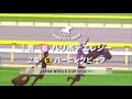 JAPAN WORLD CUP 手作 好太郎勝利集