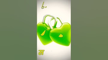 t love S status video #whatsapp_status #name_status_video #ravindra_ranjan