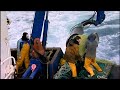 Trawlermen S01E02 - The Storm - BBC Documentary