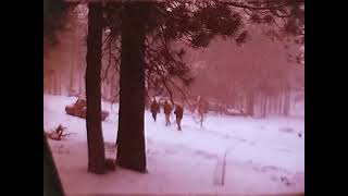 (1960's) California Mountains Snow - Vintage 8mm reels