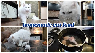 Homemade cat food || Persian cat food recipe || how to make cheap  homemade cat food at home ||Part2