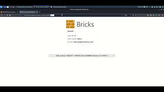 Bricks Content 6 - Base64