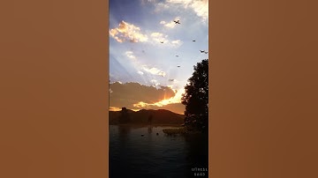 Forest Wetlands | Cinematic | Unreal Engine 5.2