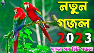 সেরা মধুর গজল | সুন্দর সব হিট গজল | bangla gojol, kolorob gojol, নতুন বছরের গজল notungojol2023