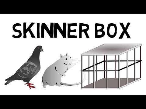 Video: Was ist eine Skinner-Box und wozu dient sie?