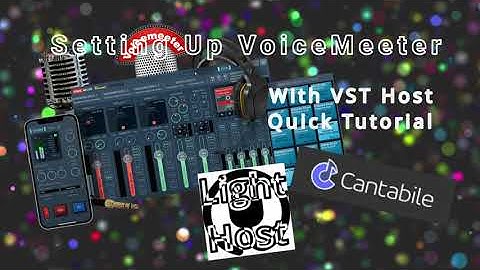 Setting up Voicemeeter With Vst Host