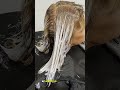 CANAS gruesas y MECHAS fórmulas de tinte COLORIMETRIA
