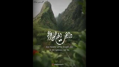 القارئ بشير عبدالله