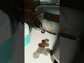 Jo me Acuerdo los dia que no tenia ni pa jugito