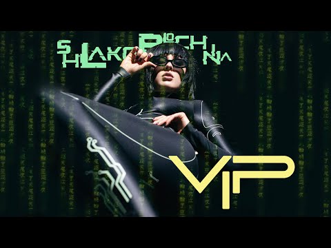 SHLAKOBLOCHINA - VIP (Lyric Video)