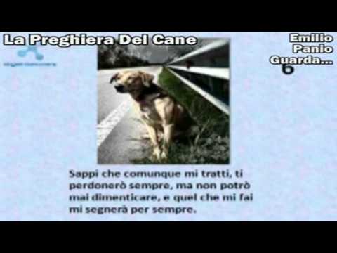 La Preghiera Del Cane Youtube