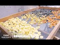 How Grannies Make Fresh Pasta In The Streets Of Bari, Italy | Regional Eats