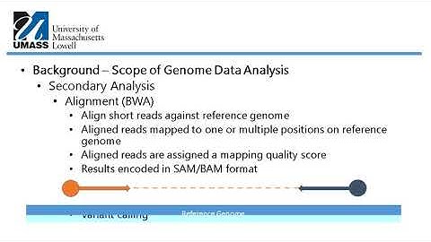 Massively Parallel Processing of Whole Genome Sequence Data