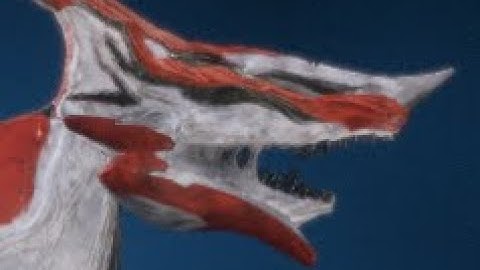 Vulpaphyla A S C E N D S (Warframe)