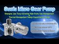 High-Purity Gas Management: Suofu Pump Solutions