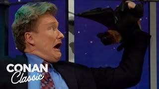 Animal Expert Clyde Peeling: Fruit Bat \& Fishing Cat | Late Night with Conan O’Brien