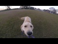 Beginning of video