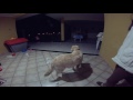 Middle of video
