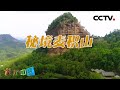 带你走进绝壁上的佛国世界！名山胜景·秘境麦积山 20210324 |《地理·中国》CCTV科教